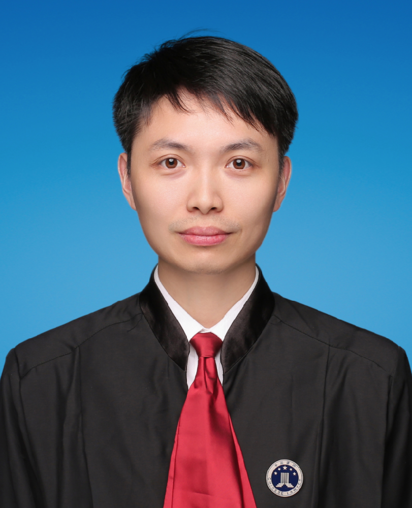 顾陈希 （主任、合伙人/律师）